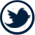 Twitter Icon