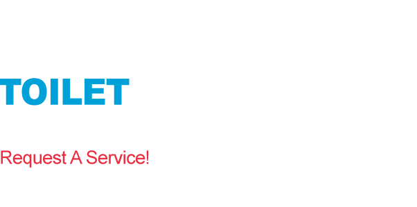 Expert Toilet Repair Services Toilet Repair