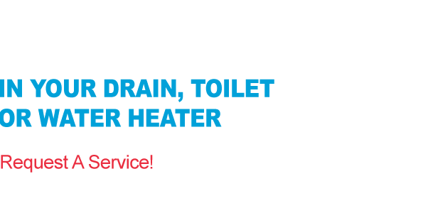 Fix Your Water Leak Now! Repair Water Leaks